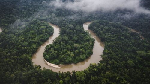 Sur quel pays s’étend majoritairement la forêt amazonienne ? 