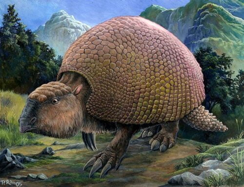 À quel animal d’aujourd’hui, le glyptodonte était un cousin préhistorique ? 