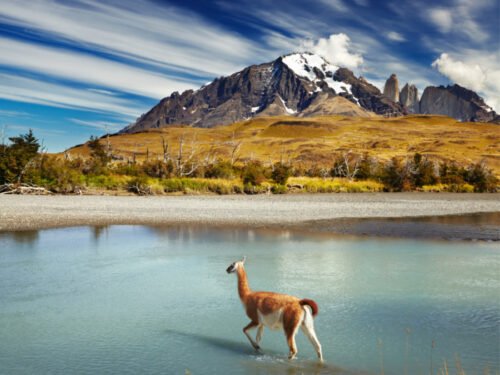 Sur quels pays d’Amérique du Sud s’étend la région de la Patagonie ? 