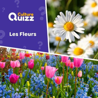 Quiz sp&eacute;cial fleurs - connaissez-vous les plantes ?