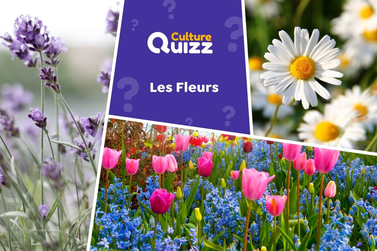 Quiz spécial Fleurs #2 - Quiz spécial fleurs - connaissez-vous les plantes ?