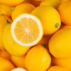 Citron Meyer 