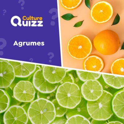 Quiz spécial Agrumes : citron, orange, tangerine, orange sanguine...