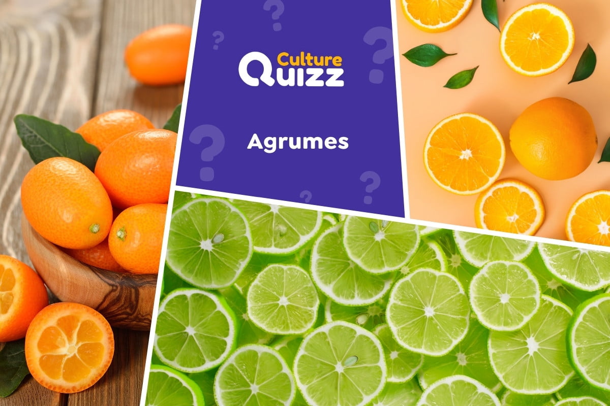 Quiz spécial Agrumes - Quiz spécial Agrumes : citron, orange, tangerine, orange sanguine...