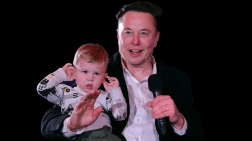 Au 1er janvier 2024, combien d’enfants Elon Musk a-t-il eu au total ? 