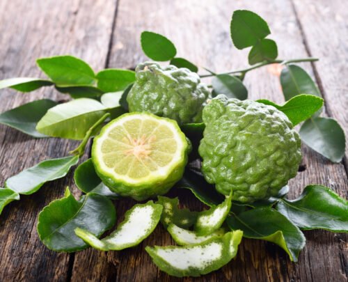 Quel est le nom de cet agrume qui possède des notes de coriandre, de gingembre et de citronnelle ? 