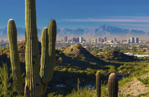 La ville de Phoenix aux États-Unis doit son nom de l’animal mythologique. Vrai ou faux ? 
