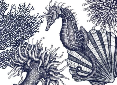 La particularité de l’hippocampe est de se déplacer à l’horizontale. Vrai ou faux ? 