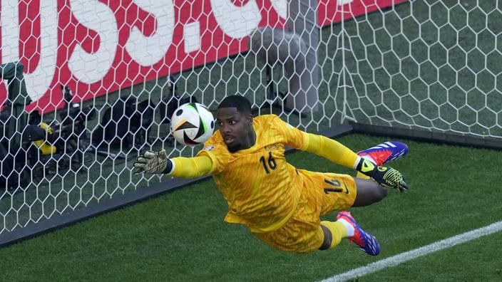 Qui a été le gardien de but de l’équipe de France de football durant les matchs de l’Euro 2024 ? 