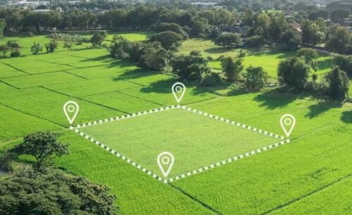 Un hectare correspond à une surface de 1000 mètres carrés. Vrai ou faux ? 