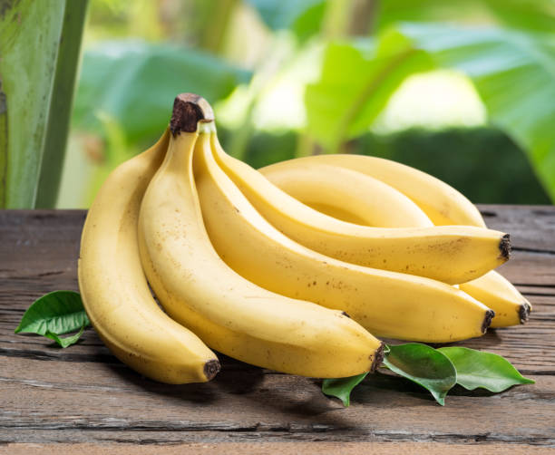 Quelle variété de banane est la plus célèbre et la plus exportée dans le monde ? 