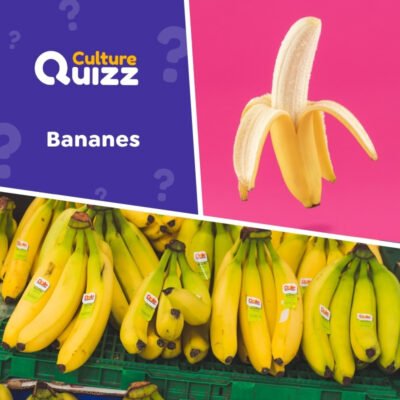 Quiz sp&eacute;cial bananes - Culture g&eacute;n&eacute;rale - fruits