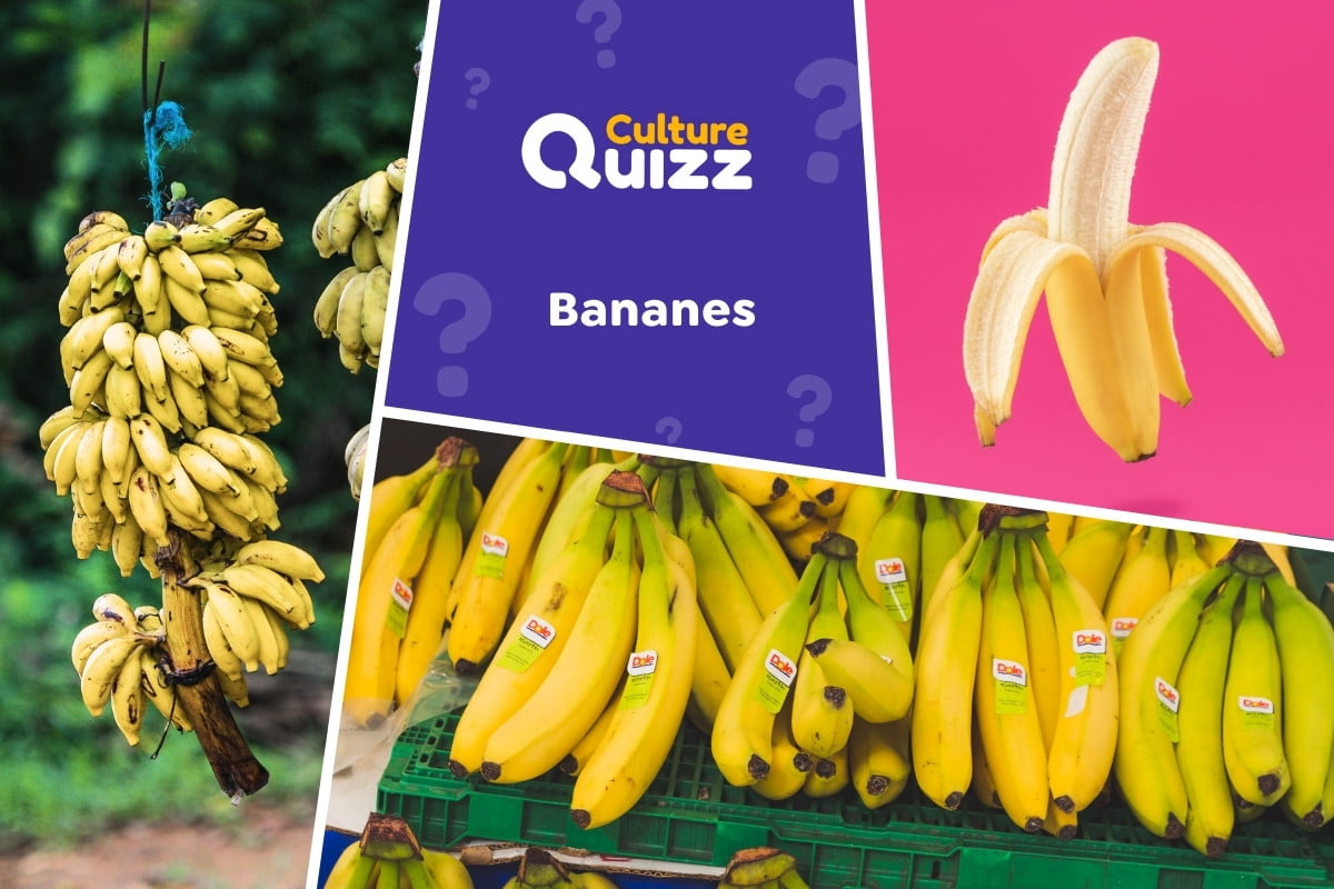 Quiz spécial Bananes - Quiz spécial bananes - Culture générale - fruits