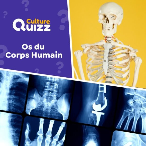 Quiz les Os du Corps Humain Santé Niveau Moyen Culture Quizz — free download