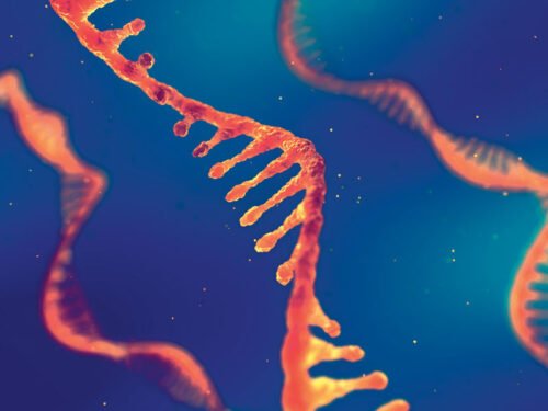 Quelle substance très proche chimiquement de l'ADN est en constante évolution et reflète l'état de santé général de l'organisme auquel il appartient ? 