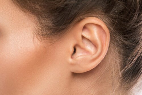 La masse et le compas sont des os situés dans le squelette de l’oreille. Vrai ou faux ? 