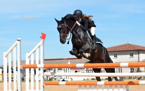 En équitation, parmi ces propositions, laquelle ne correspond pas à un type d’obstacle ? 