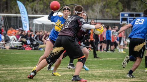 Quel est le sport pratiqué par les joueurs sur la photo ? 