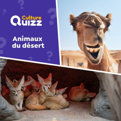 Quiz spécial animaux du désert