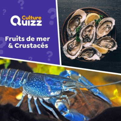 Quiz sp&eacute;cial sur les fruits de mer et les crustac&eacute;s - Quiz alimentation