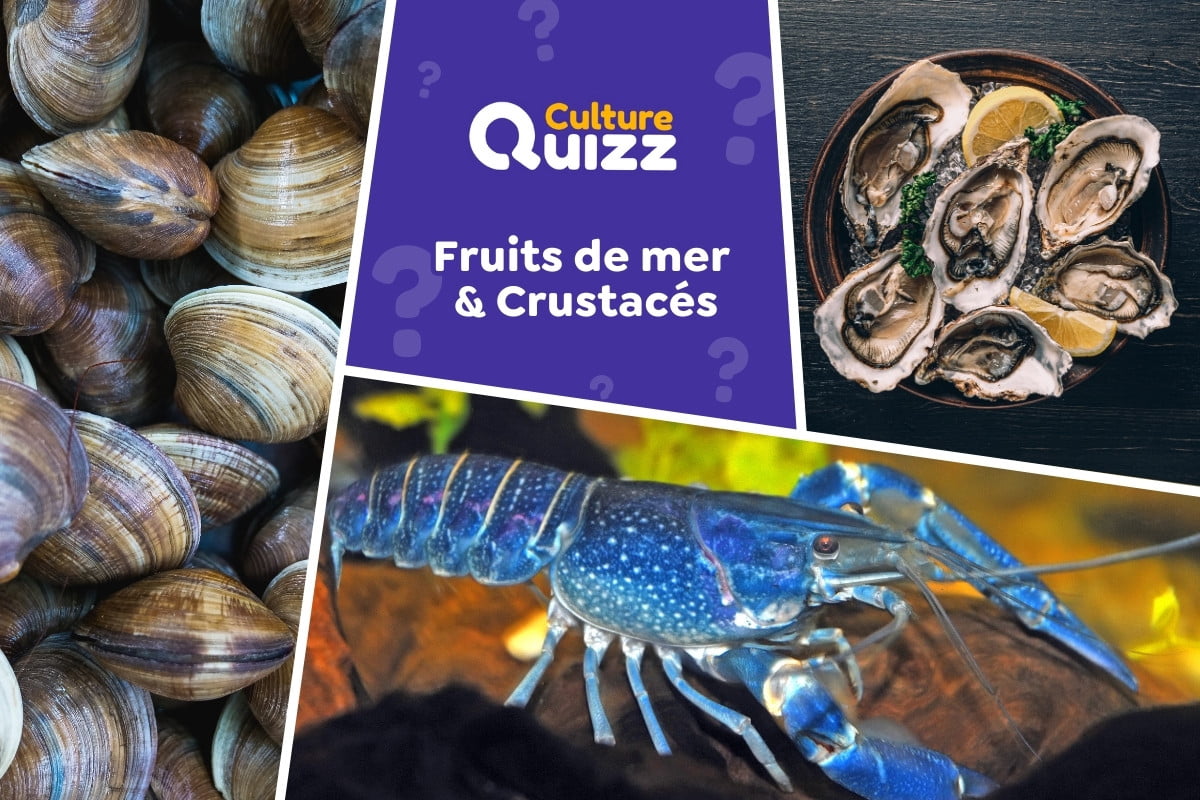 Quiz Fruits de mer et Crustacés - Quiz spécial sur les fruits de mer et les crustacés - Quiz alimentation