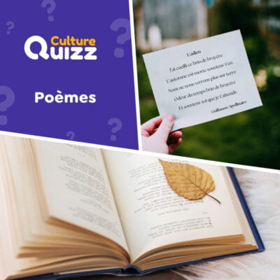 Quiz litt&eacute;rature sp&eacute;cial po&egrave;mes fran&ccedil;ais