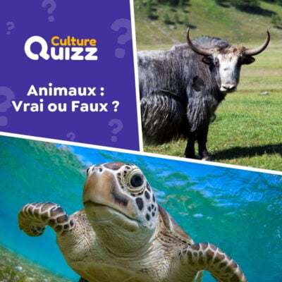 Testez vos connaissances sur le monde animal - vrai ou faux ?