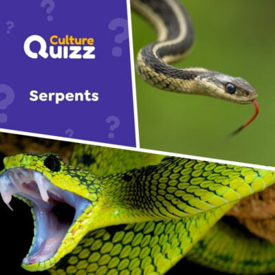 Quiz 100% serpents - testez vos connaissances sur le monde des serpents.