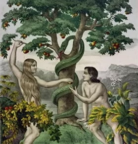 Adam Eve