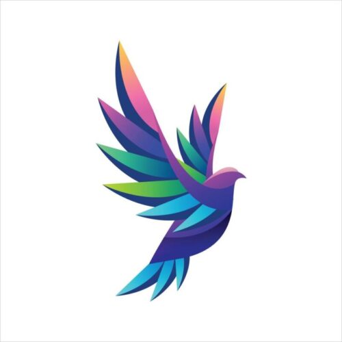 Le toucan possède la particularité d'avoir un très petit bec comparé à sa taille. Vrai ou faux ? 