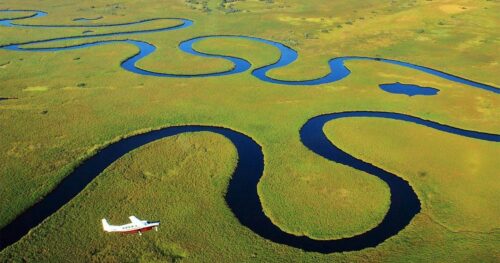 Pour protéger quels animaux en danger, le delta de l’Okavango au Botswana a-t-il été inscrit au Patrimoine mondial naturel de l’UNESCO ? 