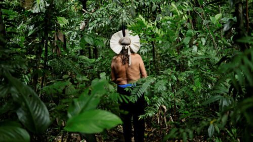 Pour la production agricole de quel élément, la forêt amazonienne subit-elle une déforestation de grande ampleur ? 