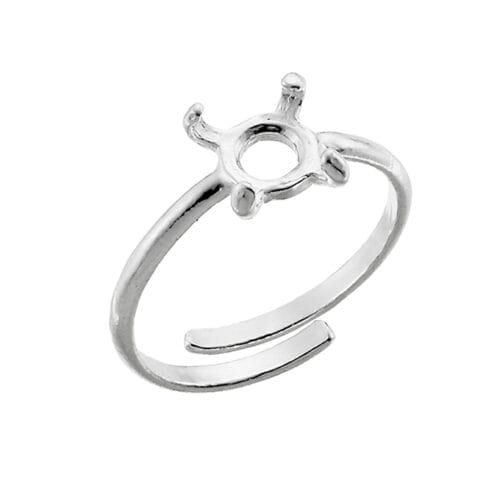 Comment appelle-t-on l’endroit de la bague sur laquelle est insérée une pierre précieuse ou une inscription ? 