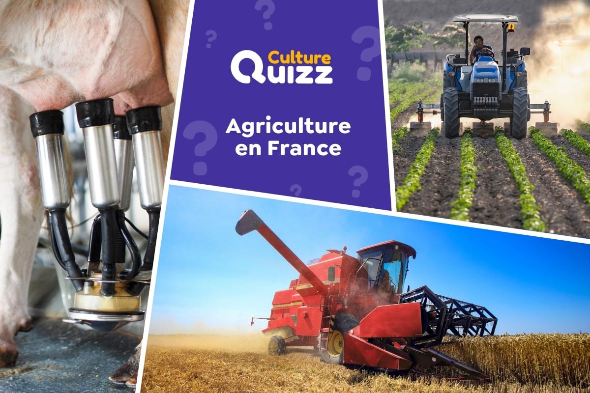 Quiz spécial Agriculture française - Quiz spécial sur l'agriculture et l'élevage en France