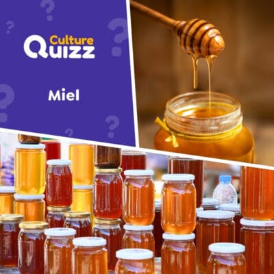 Quiz spécial sur le Miel : testez vos connaissances