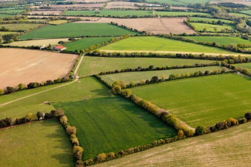En pourcentage, quelle est la surface terrestre consacrée à l’agriculture en France métropolitaine ? 