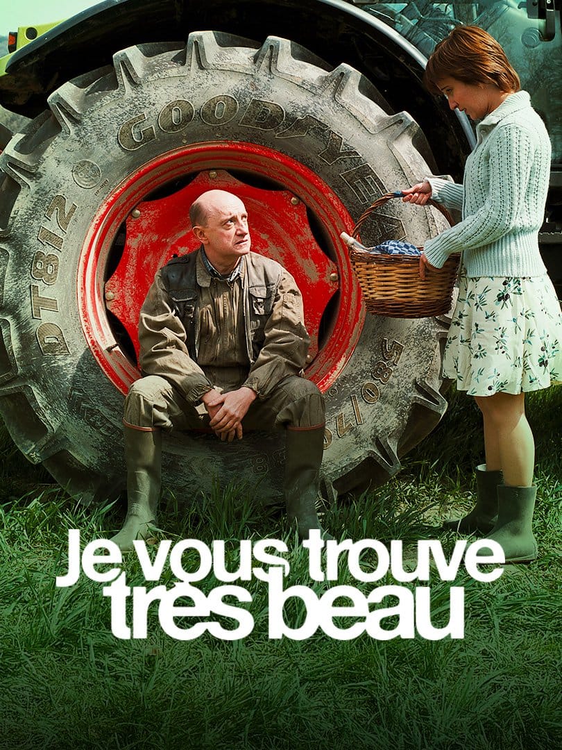 Qui a réalisé le film “Je vous trouve très beau” avec Michel Blanc ? 