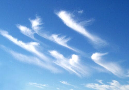 En météorologie, quel est le nom donné au type de nuage sur la photo ? 