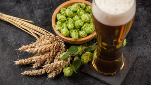 Quel est le rôle du houblon dans la fabrication de la bière ? 