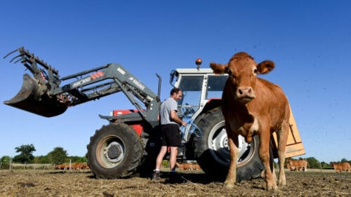 Un agriculteur en France gagne en moyenne 2000€ brut par mois en 2024. Vrai ou faux ? 