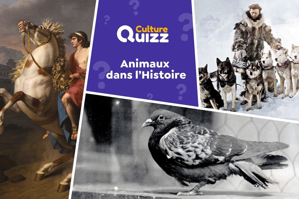 Quiz les Animaux dans l'Histoire - Les Animaux qui ont marqué l'histoire - Quiz