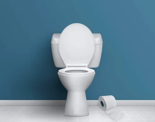 Dans quel(s) organe(s) du corps humain l'urine se forme-t-elle ? 
