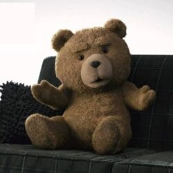 Ted 