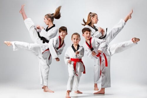 Quelle est la signification de l'art martial nommé le karaté ? Karaté