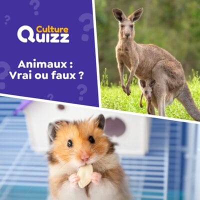 Quiz sp&eacute;cial Animaux - Les affirmations sont-elles vraies ou fausses ?