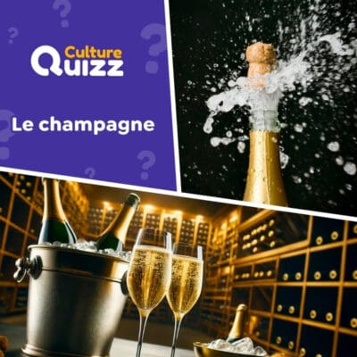 Quiz sur la boisson champagne - quiz alimentation