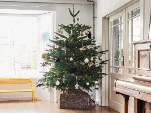 Quelle est la suite des paroles de la chanson Mon beau sapin : Mon beau sapin, roi des forêts, que j'aime _______  ? 