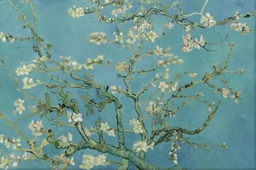 Quel peintre est l'artiste derrière le tableau nommé Amandier en fleurs ? 