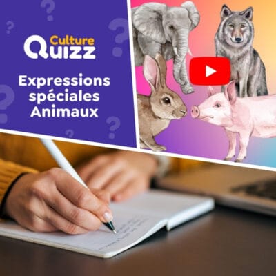 Quiz vidéo spécial expressions françaises