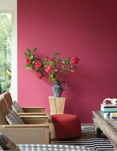 La phrase suivante est-elle correcte : “Les murs framboise du salon seront repeints en blanc.” : Vrai ou Faux ? 